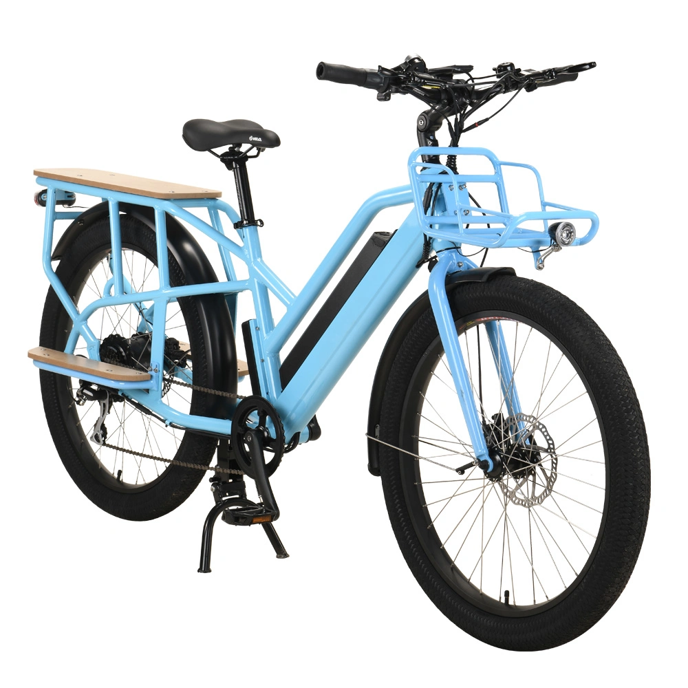 2020 New Arrival Cargo Tricycl Fat Bike Mountain Trek Mountain Bicycle Electric Bike Trinx Mountain Bike