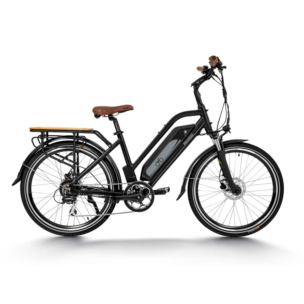 Haidong City Ebike with High Power and Long Range 120 Miles, 25 Miles/H