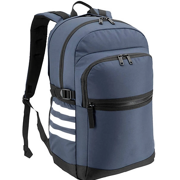 School Backpack Unisex Classic Lightweight Water-Resistant Backpack for Men Women College Schoolbag Travel Bookbag