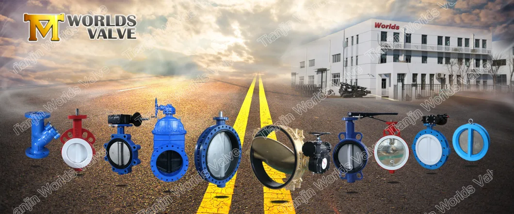 Pinless Butterfly Valve with Two PCS Stem Mss Sp Flange Connection