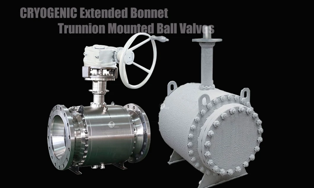 Duplex Stainless Steel Bolted Body Trunnion Mounted Raise Face Rptfe Devlon Peek Seat Insert Flange End Ball Valves with Nace Mr0175