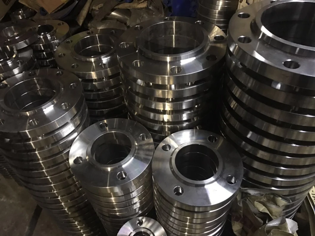 Stainless Steel Flanges (PL, WN, SO, SW, BL flanges, forged)