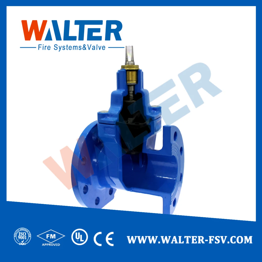 Double Flanged Cast Iron Gate Valve Pn16