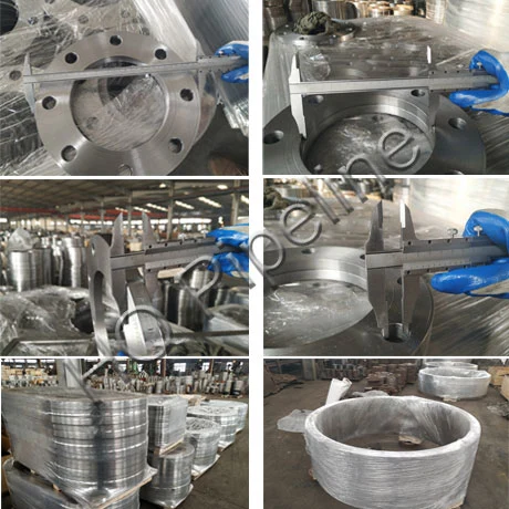 OEM Custom Forged Stainless Steel Pipe Flanges DN600