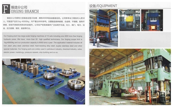 China Customized Casting Aluminum Flange
