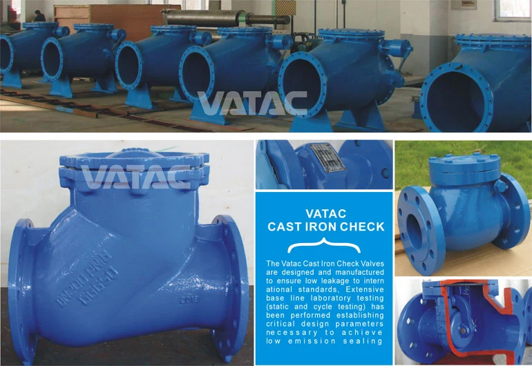 NPT, Flange RF, Bw or Wafer Lift Check Valve From Cast Iron, Brass or Stainless Steel