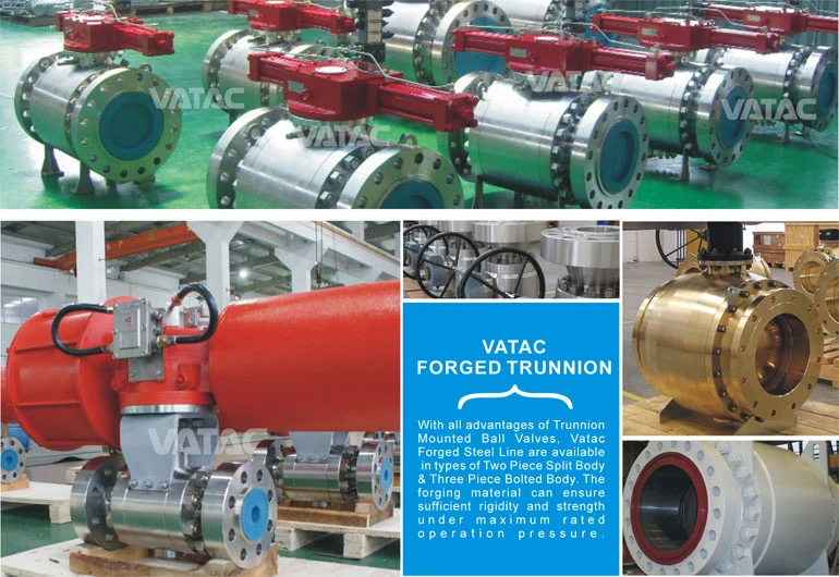 Cast & Forged Stainless Steel Industrial Mounted Trunnion Ball Valve with Flange RF or Bw Ends