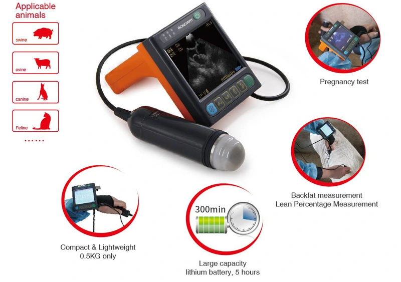 Ultrasound Scan for Farm Animals, Companion Animals, Veterinary Ultrasound Scanner, Reproduction Ultrasonic Machine,