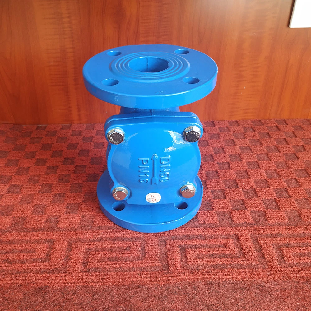 Ductile Cast Iron Double Flanged Swing Check Valve Pn16