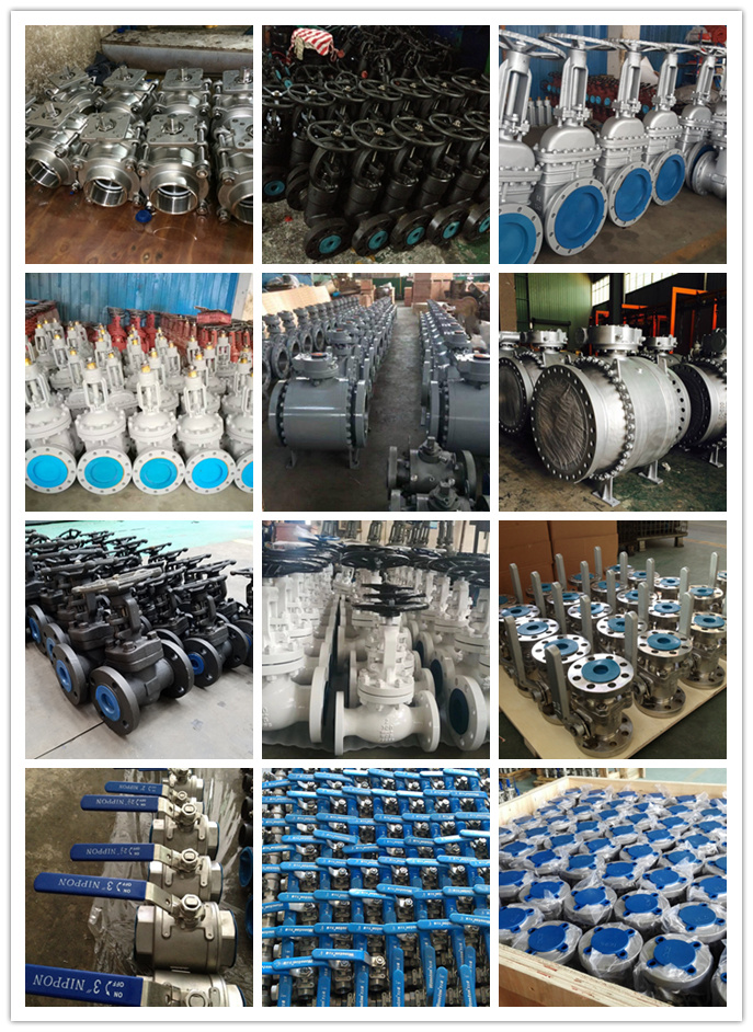 Cast Steel Wcb/CF8/CF8m Class 150 Flanged Y Strainer/Filter Pn16-64 Screen: SS304