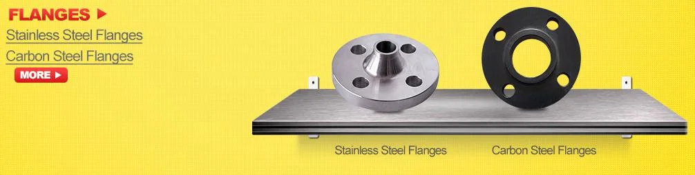 DN100 Stainless Steel Pl Flat Welding Flange RF FF