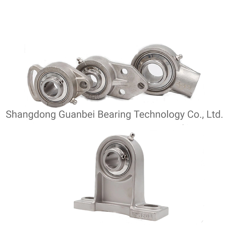 Two-Bolt Flange Cast Housing Conveyor Steel Return Chrome Steel Bearings Pillow Block Bearing with Cast Iron Flange for Agricultural Machinery Motorcycle Parts