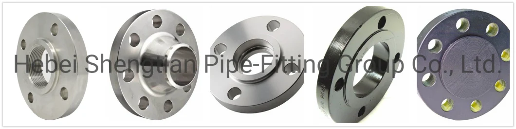 Stainless Steel/Carbon Steel A105 Forged Slip-on/Orifice/ Lap Joint/Soket Weld/Blind /Welding Neck Anchor Flanges