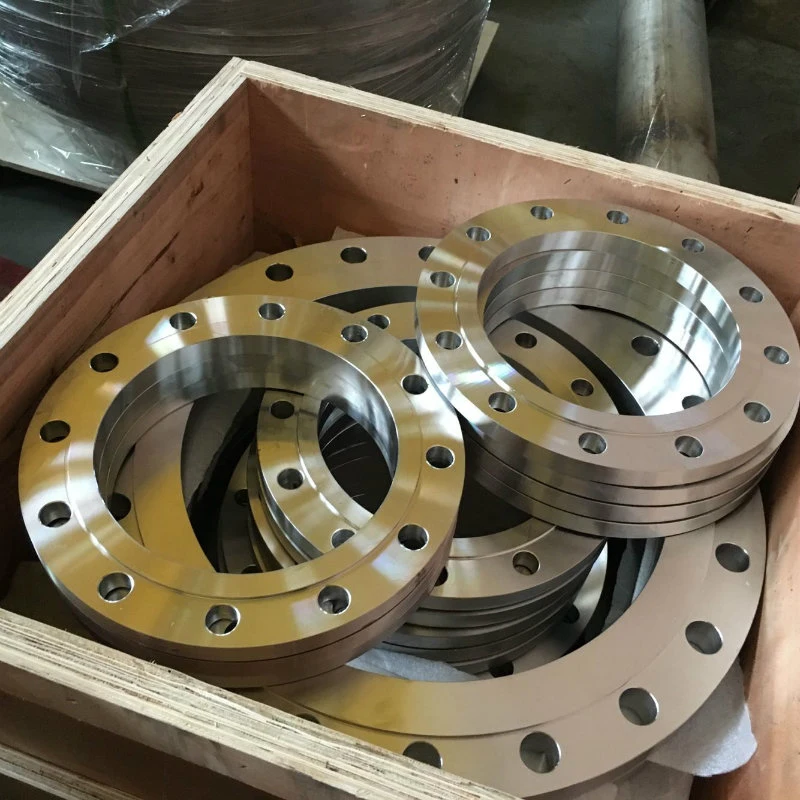 Forged Flanges (WN SO SW BL Flanges, Forged)