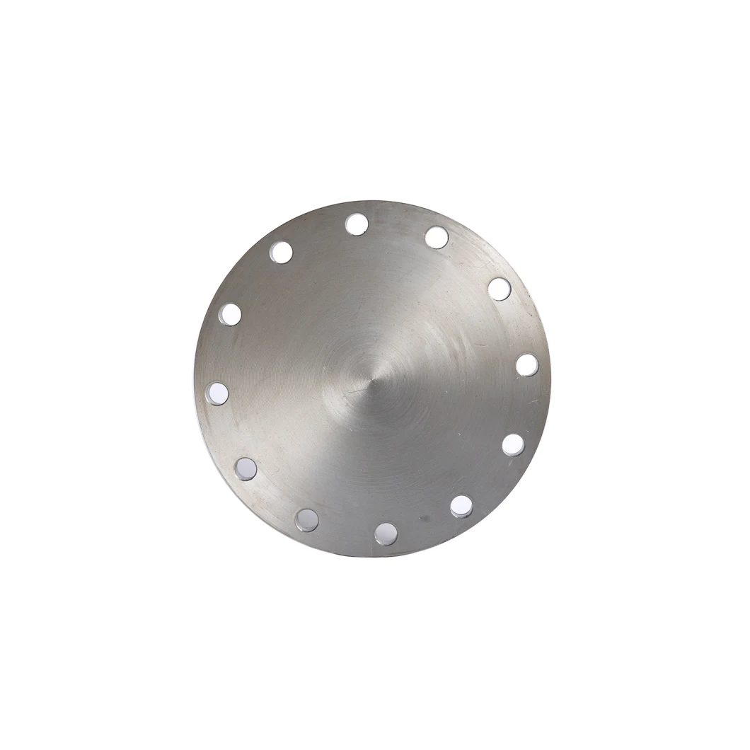 Stainless Steel Forge Flanges (Forged flanges) A182 F321 F304 904L 316, F53,