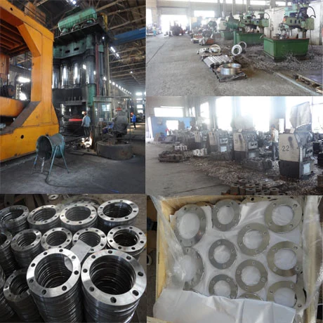 Galvanized As2129 Table D / Table H / Table E Forged Backing Ring Flange