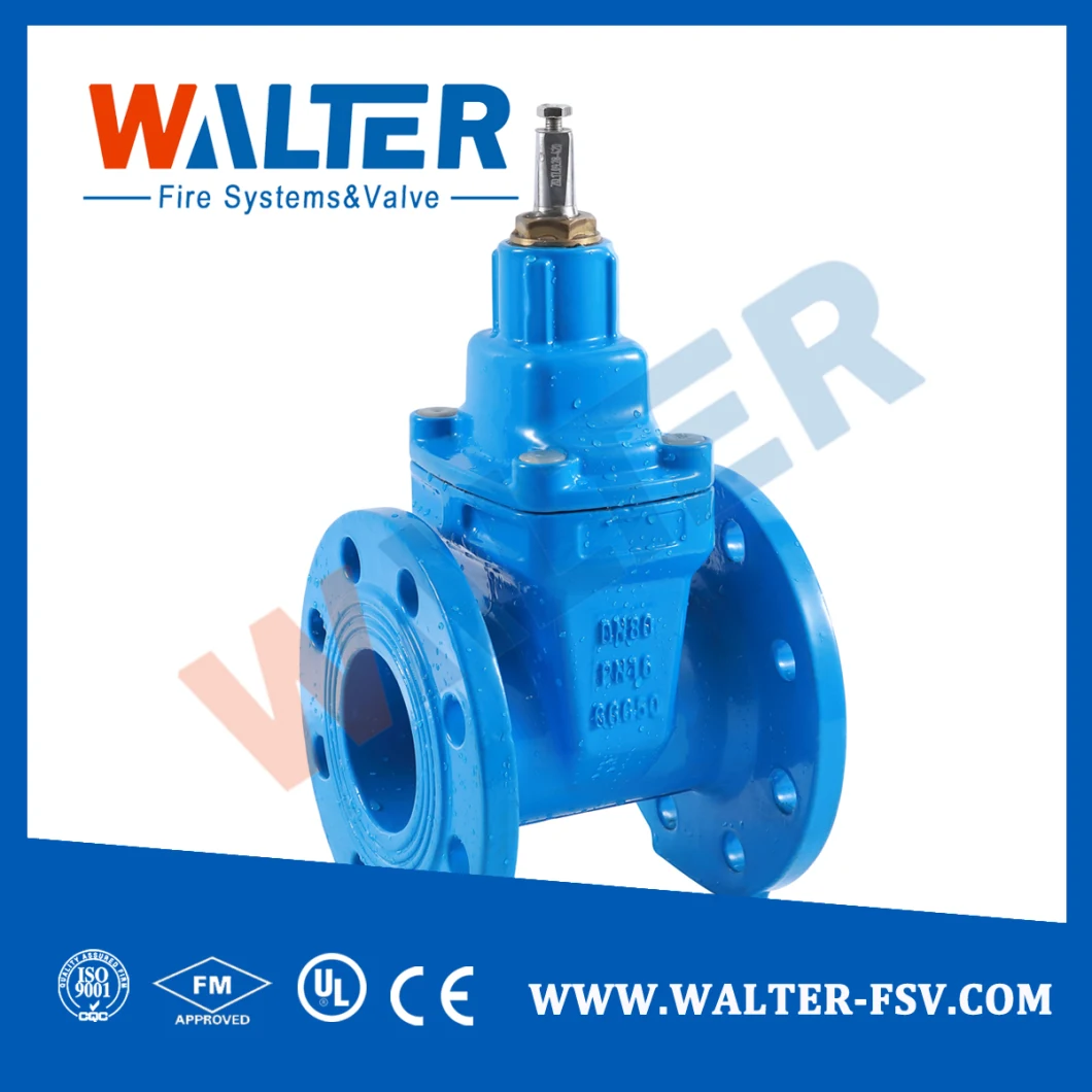 Double Flanged Cast Iron Gate Valve Pn16