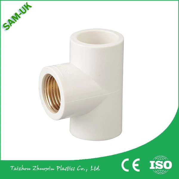 Plastic PP Backnut Made in China