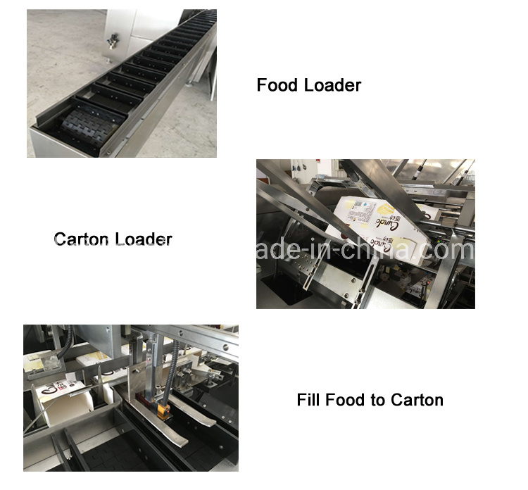 Automatic Coffer Stick Cartoning/Carton Packing Machine