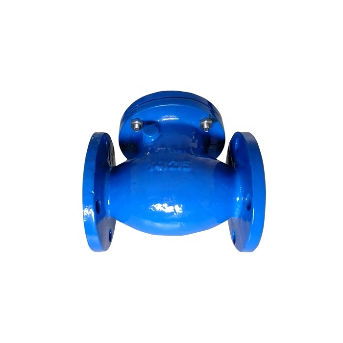 DIN Standard Ductile Cast Iron Ggg50 Di Double Flanged Flexible Swing Check Valve Dn100 Pn16