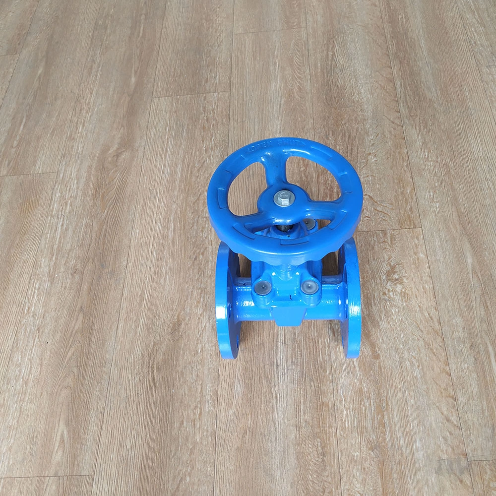 Automatic Awwa C509 Rubber Wedge Double Flanged Pn16 Gate Valve Dn150