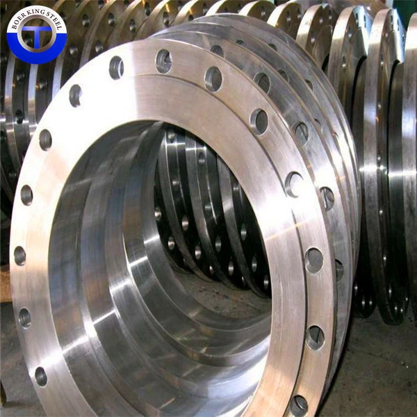 Forged Weld Neck (WN) Pipe Ss 316 SS304 Stainless Steel Flange