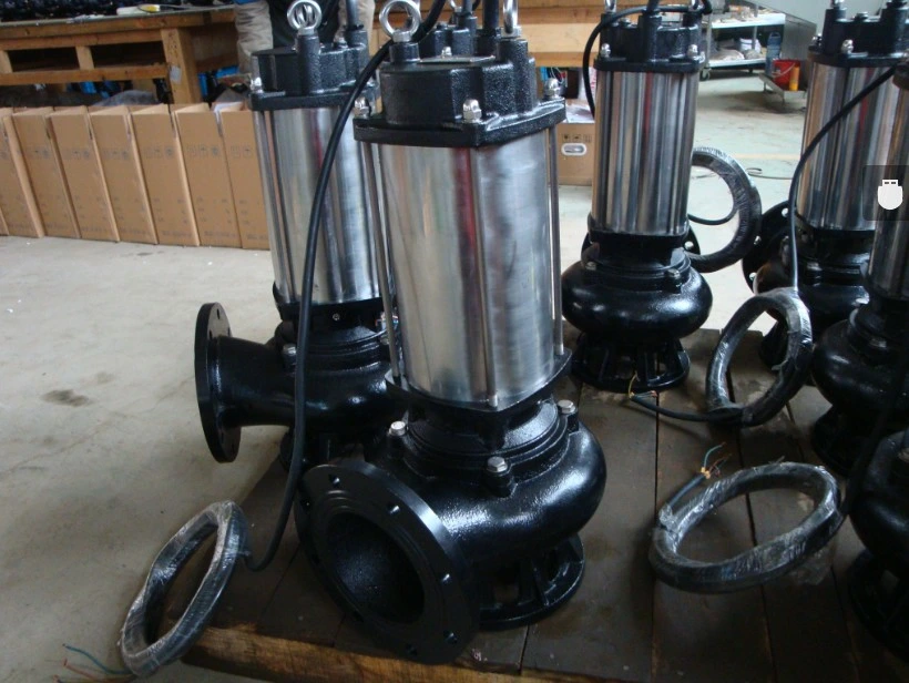 Wq Flange Stainless Steel Cast Iron Submersible Sewage Pump (WQ100-10-7.5ST)