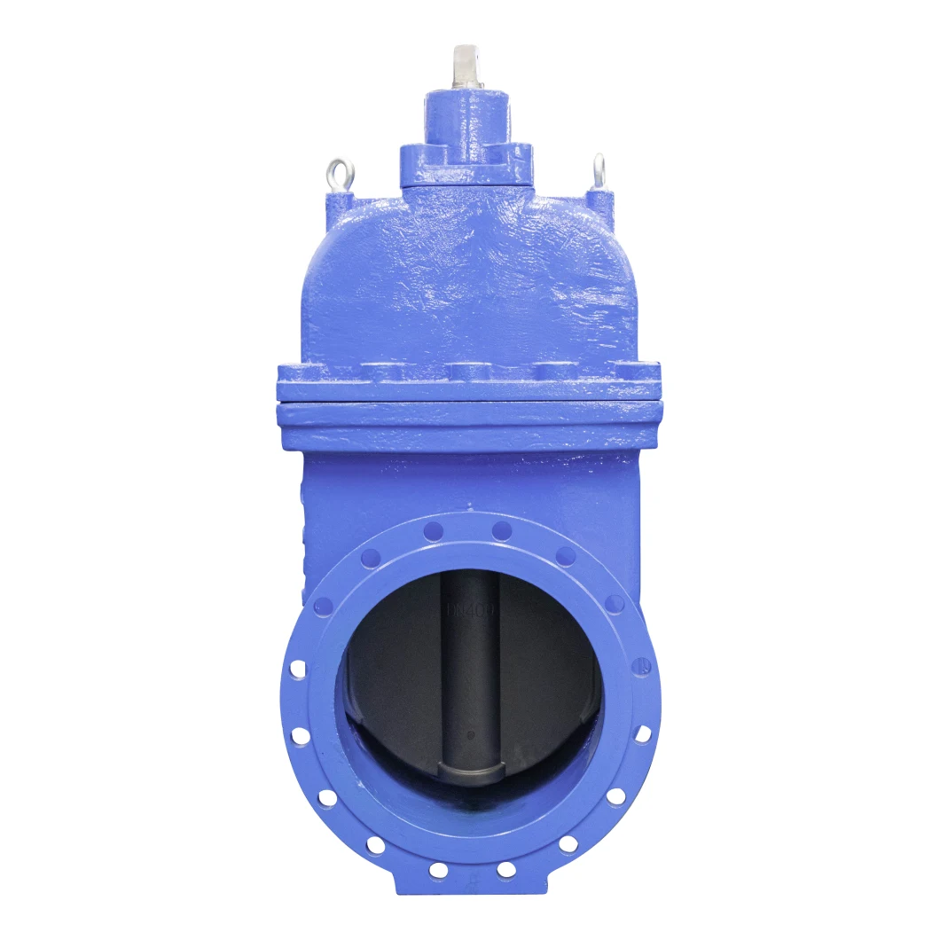 Non-Rising Resilient Seated Ductile Iron Flange Water Gate Valve F5