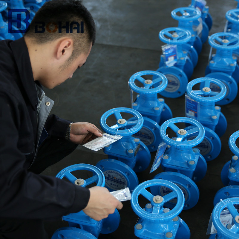 Used in for Drinking Water DIN Pn16 Industrial Iron Flange Gate Valve