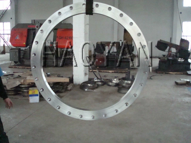 Carbon Steel with Forging Flange, Alloy Steel on Forged Flange, Stainless Steel, Super  Alloy with Forging Flange,