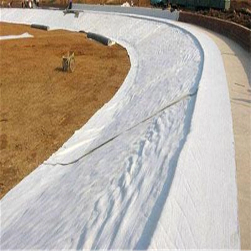 China Factory Supply Nonwoven Polypropylene Geotextile for Soil