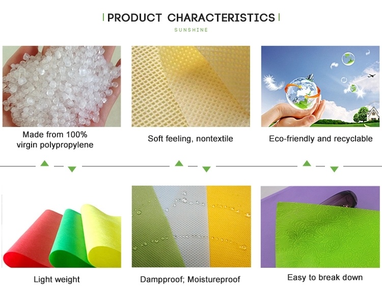 Factory Supply High Quality PP Nonwoven Fabric for TNT Tablecolth