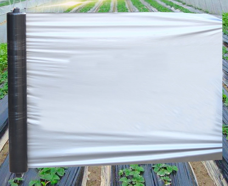 PP Nonwoven Mulching Film Anti Grass Cloth Ground Cover Control Weed Mat