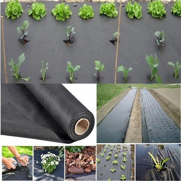 Polypropylene Spunbond Agriculture Nonwoven/Non Woven Fabric for Vegetable Greenhouse