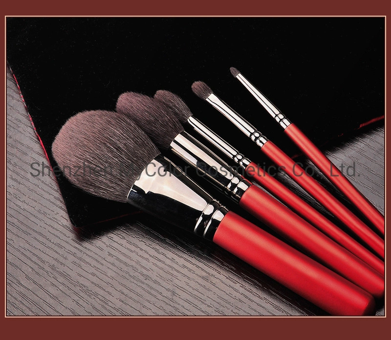 Portable Cosmetics Makeup Brush Kit Inexpensive Travel Powder Foundation Eye Brush Set