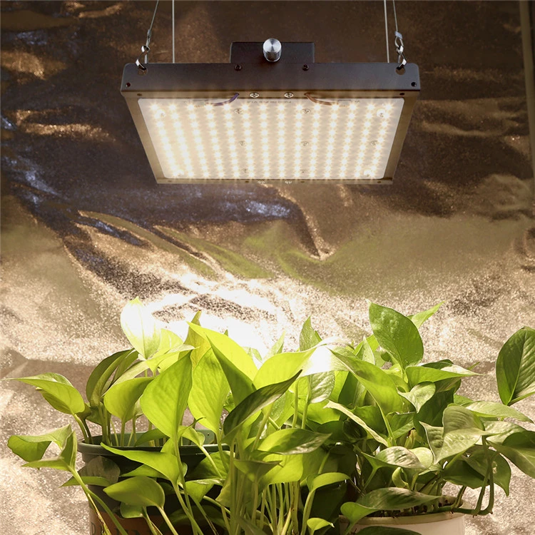 Full Spectrumgrow Light for Agricultural LED Grow Lights 150W