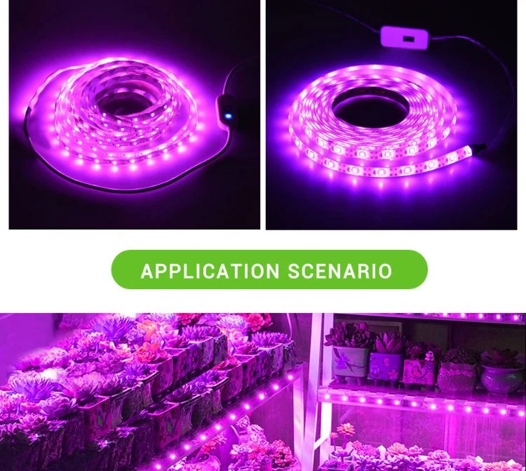 Plug and Play Full Spectrum LED Grow Strip Plants Growing LED Chip