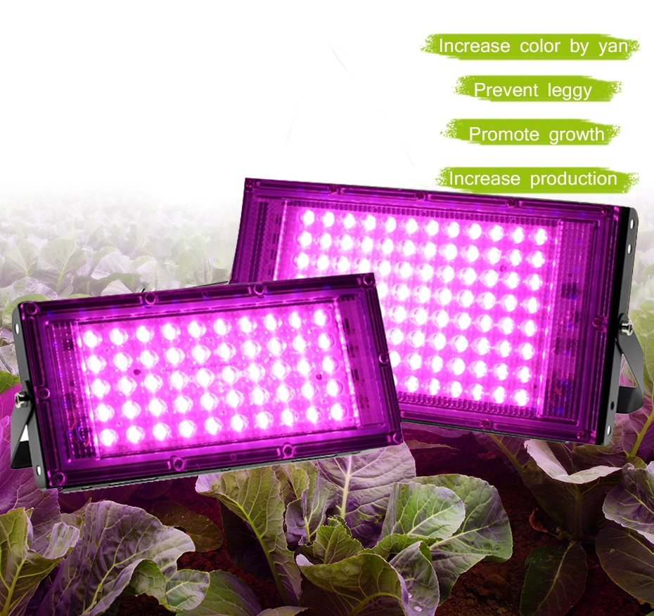 LED Grow Light Full Spectrum LED Plant Light for Indoor Plants Seed Flowers