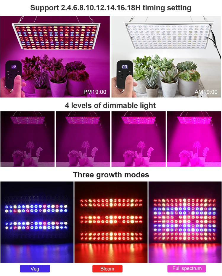 Shenzhen Factory Supply 2020 Wholesale Grow Equipment Full Spectrum 300W LED Grow Light for Indoor Plant