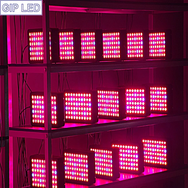 300W Panel Vegs/Bloom Grow System LED Grow Lighting