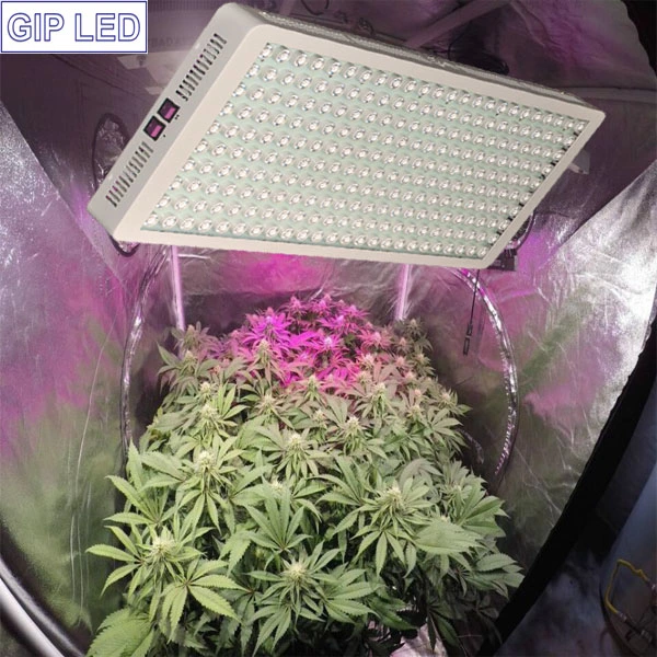 Full Spectrum Reflector 1200W LED Grow Light for Hydroponic Veg Flower HPS Killer