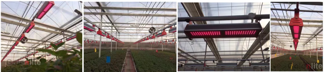 Full Spectrum LED Plant Lights 400W CREE LED Grow Light