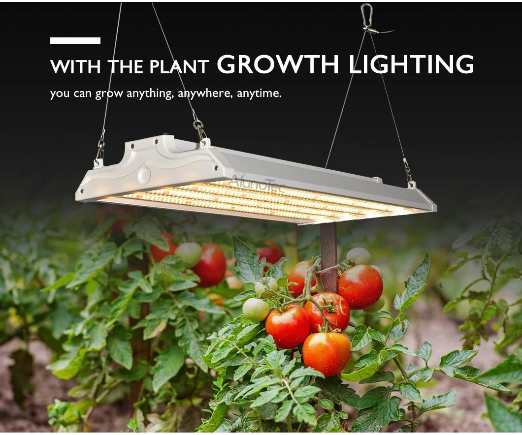 High-Quality LED Lamp Indoor Plant Grow Light 400W with Dimming