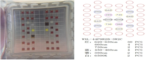 COB 1000W LED Grow Light with Replace HPS for LED Plant Lighting Grow System