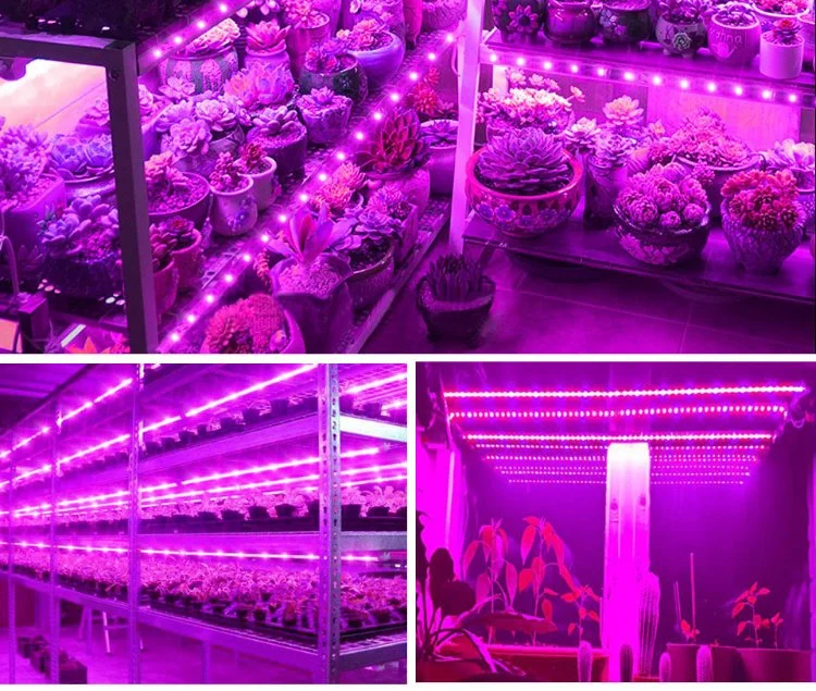 DC 5V 2835 LED Grow Light Strip Full Spectrum LED Chip for Plants Growing