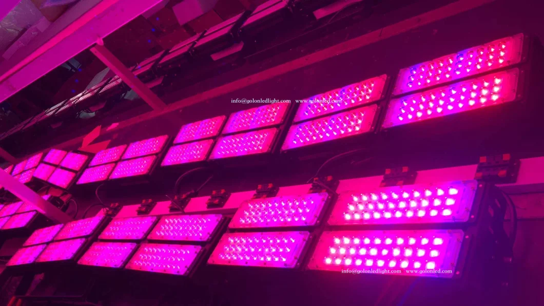 Full Spectrum Grow Lighting 400W LED Plant Light