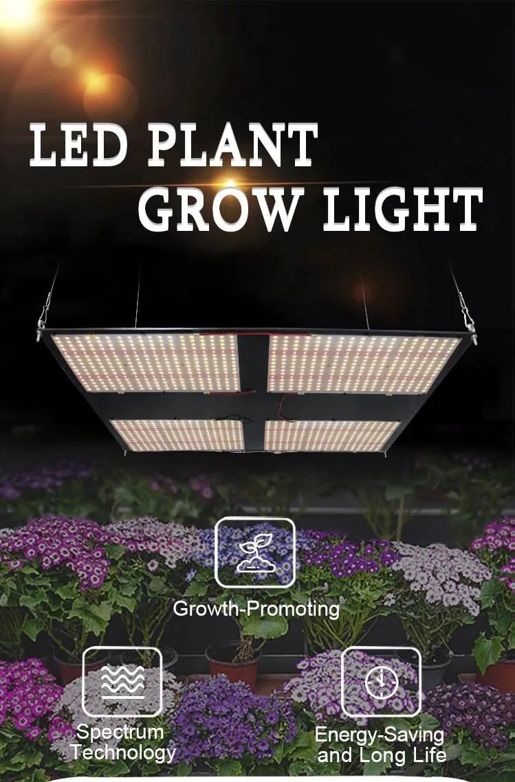 Meijiu Cheapest Wholesale Vertical Farm Agricultural LED Light 480W LED Grow Lights for Indoor Garden