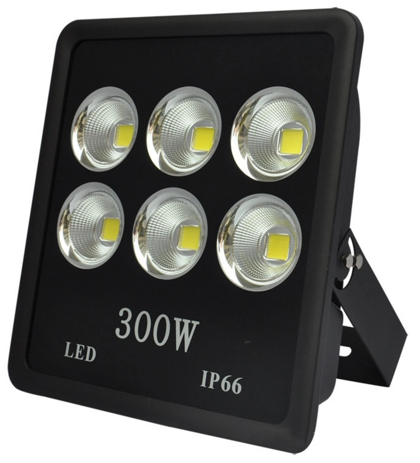 300W LED COB Cold White + Warm White Flood Light 300W/LED COB Flood Light