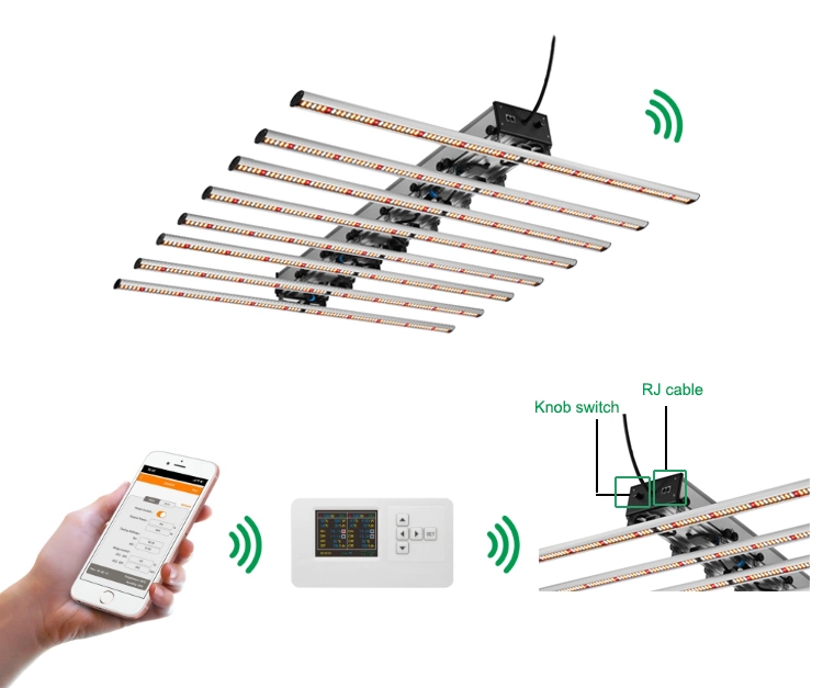 Different LED Grow Light in Greenhouse Indoor Plants Vegetables and Flowers Full Spectrum LED Grow Light