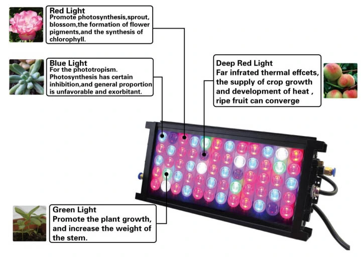 Powerful LED Indoor Grow Light Crops Growing
